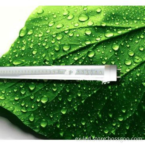 High Brightness T8 LED Tube Light